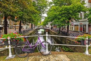 delft 5